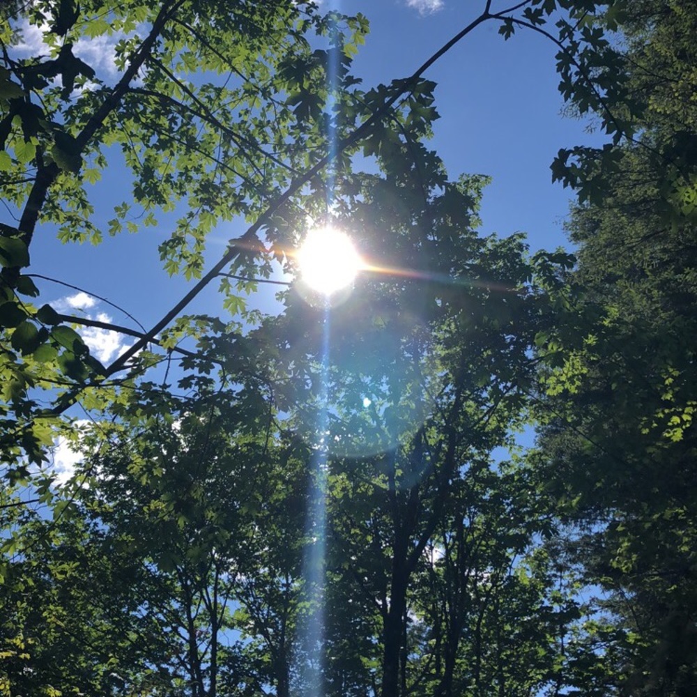 Meet your Posher, Jackson